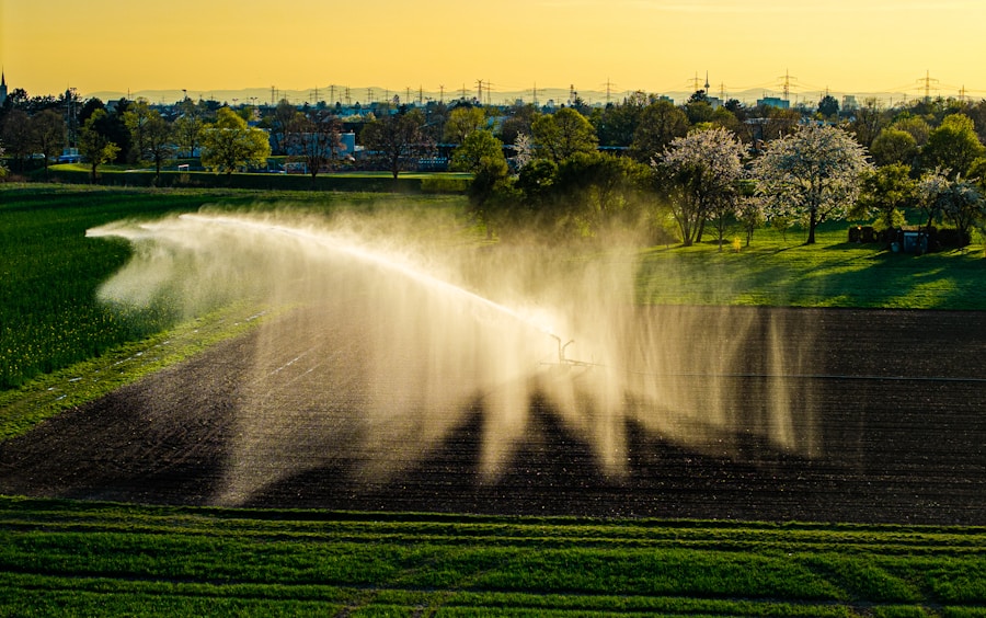 Irrigation sprinkler watering a farm field at golden hour